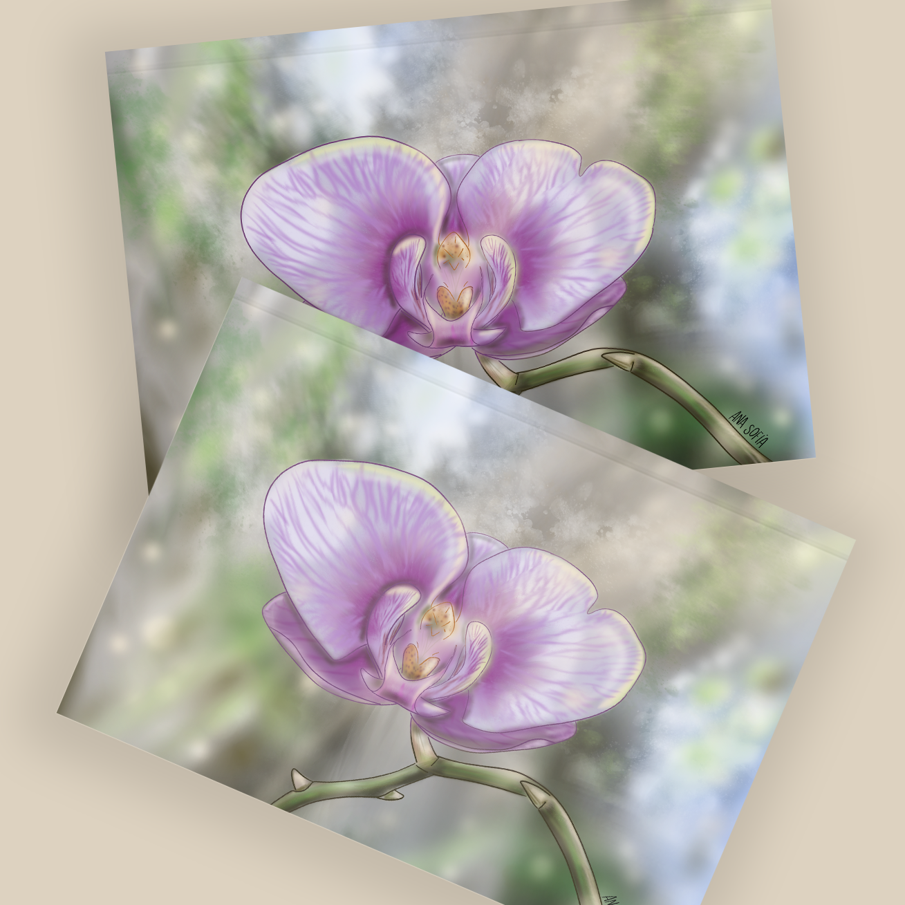 Purple Orchid Digital Art