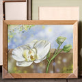 White Orchid Digital Art